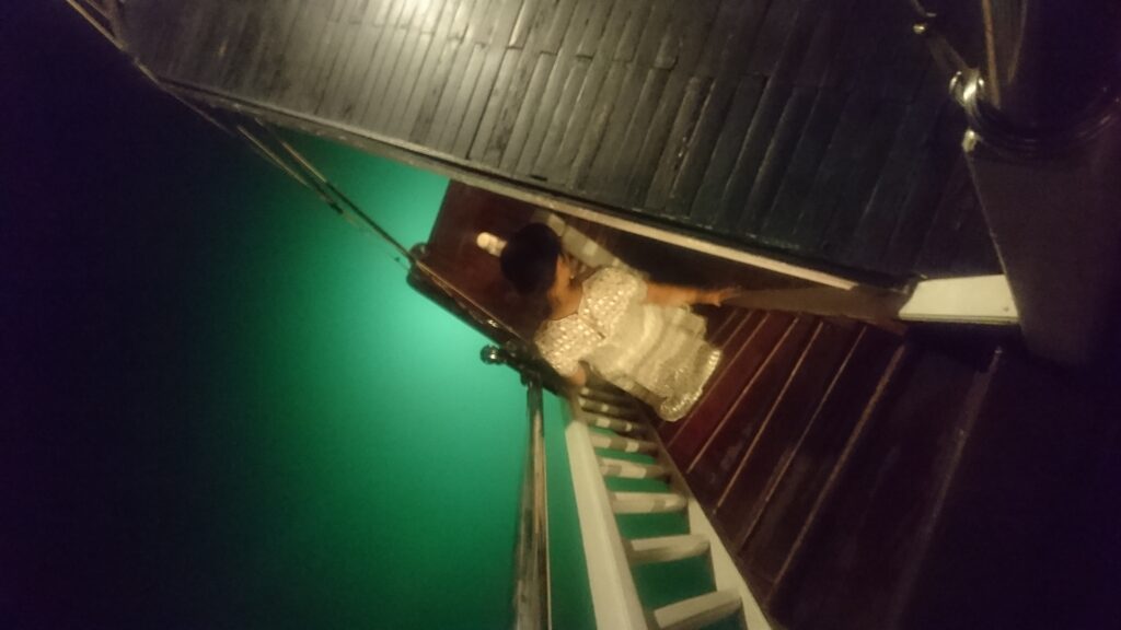 Her scales shimmering in the midnight moonlight, a mermaid descends to the casting deck on a boat on Halong Bay, Vietnam | March 2018 | Sony Xperia Z5